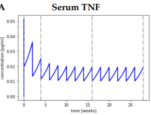 Modelling the dynamics of TNF-alpha